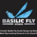 Ace Investor Ashish Kacholia Acquires 2.35% Stake in Basilic Fly Studio