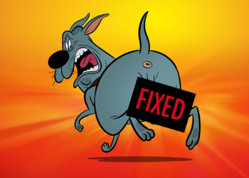 Sony Pictures Animation Reclaims Rights to Genndy Tartakovsky’s Adult Comedy “Fixed” After Warner Bros. Exit