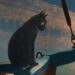 Award-Winning Silent Animation “Flow” Set for Release on October 30, Crafted Entirely in Blender