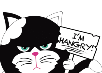 Television Cover Page